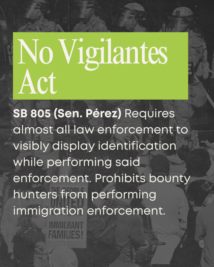 No Vigilantes Act description