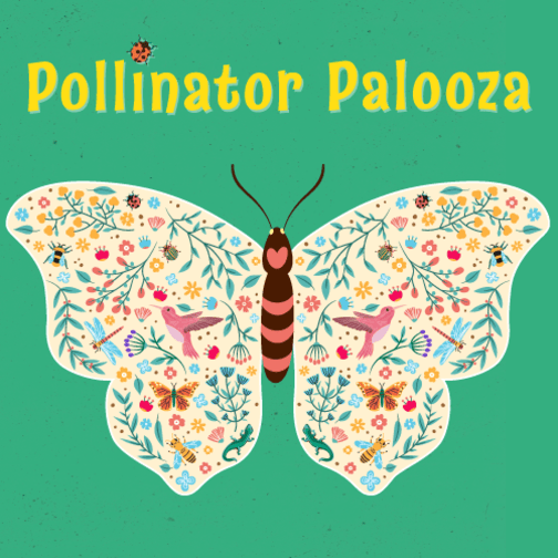 Pollinator Palooza