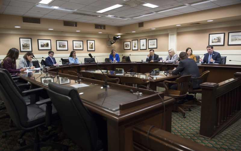 Sen Limón at CFPB Banking Hearing 