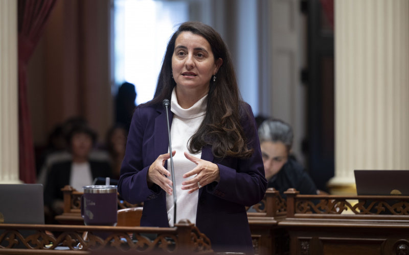 California Senate Leader Monique Limon speaks from Senate Floor desk 